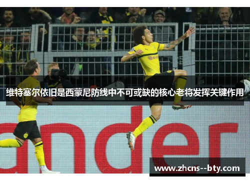 维特塞尔依旧是西蒙尼防线中不可或缺的核心老将发挥关键作用
